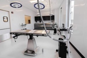 AMC Millwork and North Shore Animal League